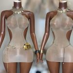 2026 Summer Women's Sexy Mini Dresses Nightclub Nylon See Through Sleeveless Dress Fashion Backless Dress - 图片 2